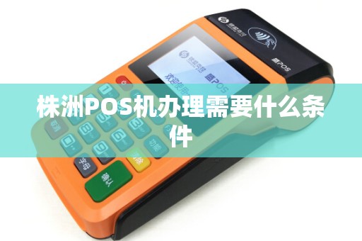 株洲POS机办理需要什么条件