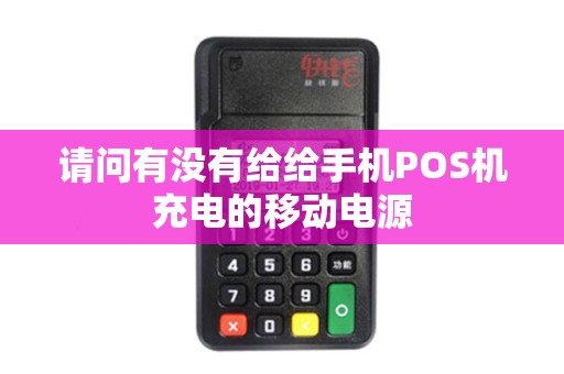 请问有没有给给手机POS机充电的移动电源