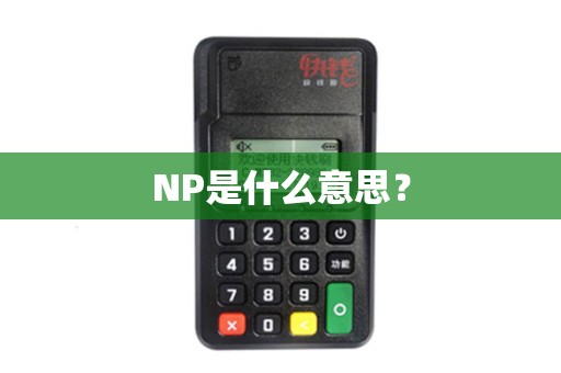 NP是什么意思？