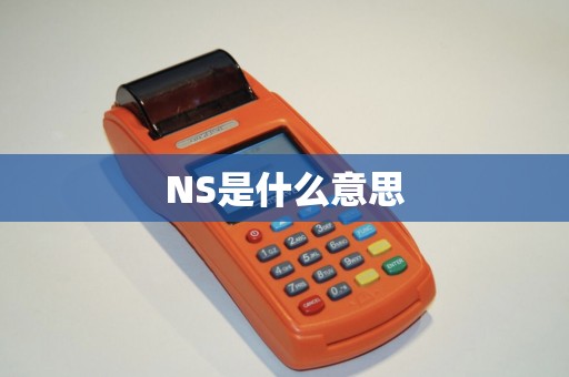 NS是什么意思