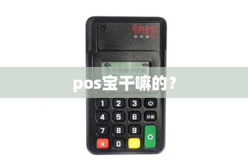 pos宝干嘛的？
